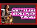 Download Lagu What Is The Story With Kudzu? - Exploring Campgrounds