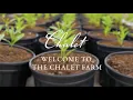 Chalet Farm The Virtual Tour