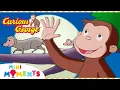 Download Lagu George's Night Time Adventure! 🌙 | Curious George | Mini Moments