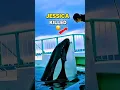 Download Lagu Truth Behind Jessica Radcliffe Dolphin 🐬 #shorts #youtubeshorts #ytshorts