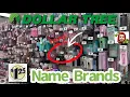 DOLLAR TREE SHOCKING NEW NAME BRANDS FOR ONLY 1 25 UP