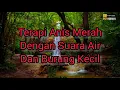 Lagu Terapi BURUNG Anis Merah, Suara Suling Sakti Dan Suara Air Terjun..