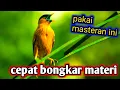 Download Lagu MASTERAN KACER CEPAT BONGKAR ISIAN MATERI LENGKAP!! pakai masteran ini