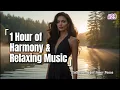 Download Lagu 🌿 1 Hour of Relaxing Music | Soft Sounds for Inner Peace #music #relaxingmusic #nocopyrightmusic