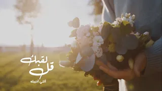 قل لقلبك أنن ي أحببته دندنها