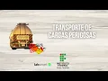 Channel