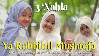 3 nahla ya robbibil mushtofa cover 