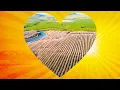 Experience California s Heart Modesto CA