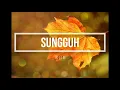 Download Lagu IKLIM - Sungguh