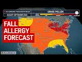Fall allergy forecast Weed grass pollen to surge in parts of US