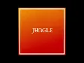 Jungle - Back On 74 - 432 hertz