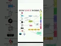 How Linux Works Linux Boot Process Kernel Explained