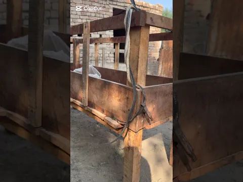 Snake Rescue Attempt | Safe handling Village Area #shorts