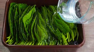 깻잎은 쌀때 이거 잔뜩 부어놓세요! 1년 내내 보약반찬됩니다