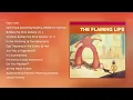 The Flaming Lips – Yoshimi Battles the Pink Robots (Full Album)