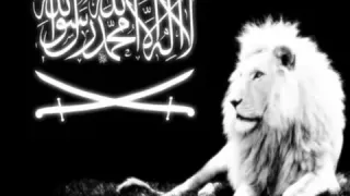 قافلتي المهنيه دندنها