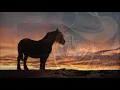 Ian & Sylvia - Some Day Soon  [HD]
