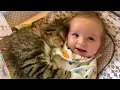 Download Lagu When Your Cat Become a Little Guard 💕