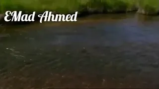اللهم استرنا فوق الأرض وتحت الأرض ويوم العرض عليك دندنها