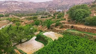 أنا راضي بمكتوبي أداء الفنان عثمان محسن الردفاني كلمات الشاعر محمد محمد الحبيشي اللقطات من الشعيب 