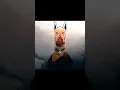 Scooby s dark story washing machine heart Edit