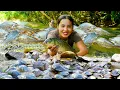 Download Lagu Harvest a Giant Fish Pond of Carp and Catfish, Collect Mussels and Bring them to the Market to Sell