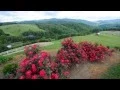 Captivating Appalachian Mountain Views in Butler Tennessee