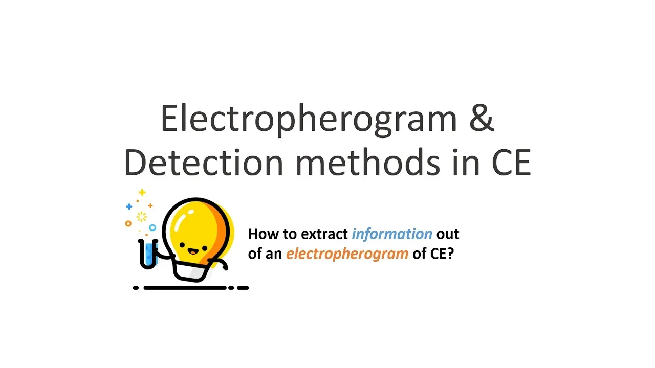 Capillary Electrophoresis (Part 4): Electropherogram & Migration Time