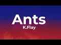 Ants - K.Flay (Lyrics)