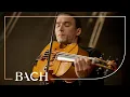 Download Lagu Bach - Cello Suite no. 6 in D major BWV 1012 - Malov | Netherlands Bach Society
