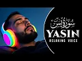 Download Lagu Surah Yasin | Yaseen | Mishary Rashid Alafasy | with arabic text | Ep-41
