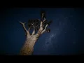 Moonwalk Away (Moonlanding Mix) by Goldfish [Official Video]