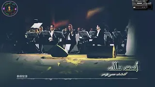 نغمات رنين كمان عزف محمود سرور انت ملك دندنها