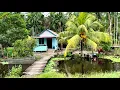 Download Lagu Suasana perkampungan tionghoa kalimantan barat menjelang hari raya imlek