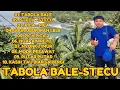 Lagu 🎵 “TABOLA BALE” By: Silet Open Up bersama Jacson Zeran  💥💃lagu paling viral 2025! 🌍