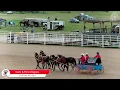 Carts Pony Wagons Onion Lake SK