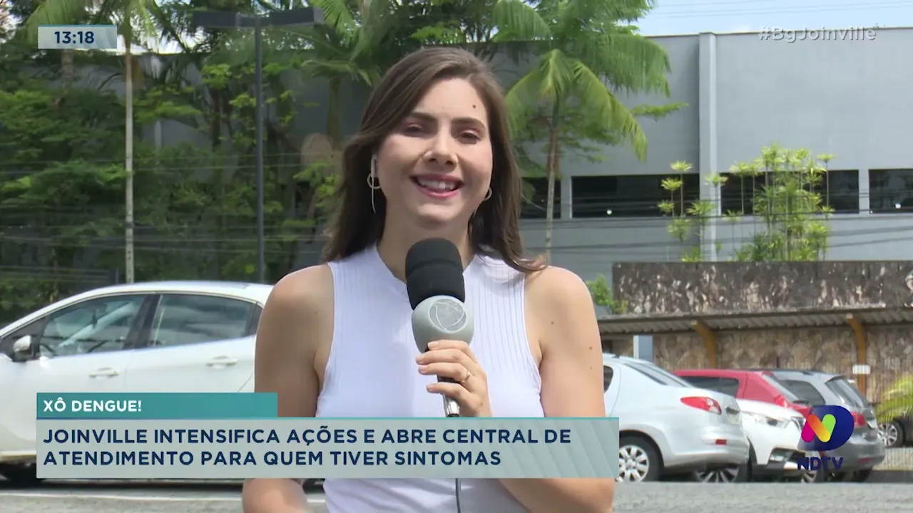 Epidemia de dengue: Joinville mobilizada no combate ao mosquito Aedes Aegypti