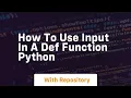 how to use input in a def function python