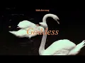 Laufey - Goddes // lyrics