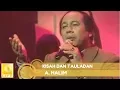 Download Lagu A.Halim - Kisah Dan Tauladan (Official Audio)