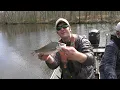 Fishing Back Bay Virginia