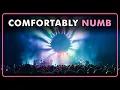 Pink Floyd s Comfortably Numb From The Wall - Performed By The Australian Pink Floyd Show