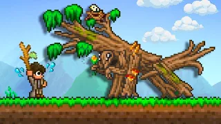 Can I Beat Terraria Using The HARDEST Class