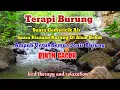 Download Lagu Terapi Air || Suara Gemericik Air Mengalir Dan Suara Burung Di Alam Bebas || Terapi Burung