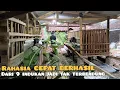 Download Lagu Roni Farm: Ternak Kambing dari Kandang Mini Sekarang Punya Kandang 3 Blok 