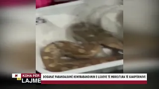 DOGANAT PARANDALOJNË KONTRABANDIMIN E LLOJEVE TË MBROJTURA TË GJARPËRINJVE