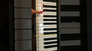 آموزش پیانو برای مبتدی ها Piano Pianist Teacher 