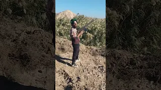 رمي جيسي إيراني دندنها