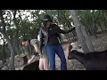 Pokimane attacked by goats