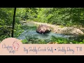 Soddy Daisy - 2024 Take a Mini-Wellness Retreat at this Blue Hole